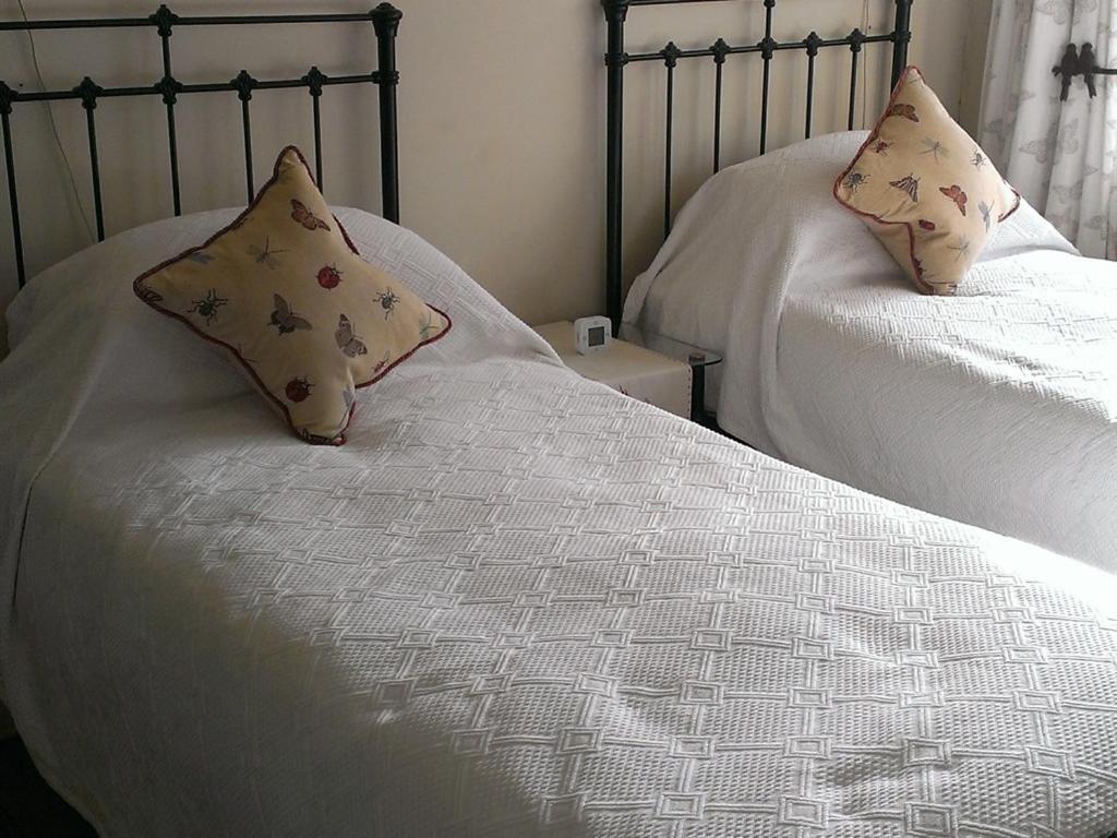 Iolanthe Bed & Breakfast London Eksteriør bilde